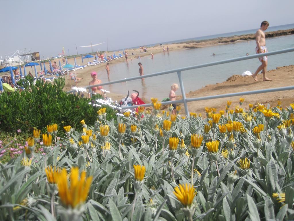 פרוטאראס Polyxenia Isaak Luxury Villas And Apartments מראה חיצוני תמונה